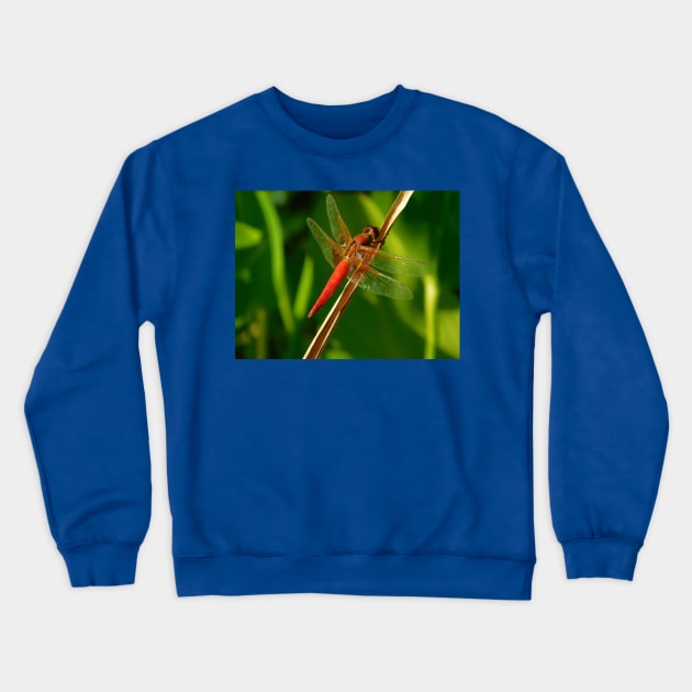 Hang on Crewneck Sweatshirt by FriendlyComputerHelp